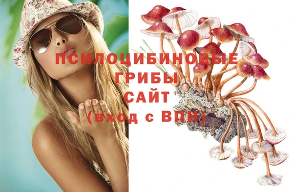 гашик Балахна