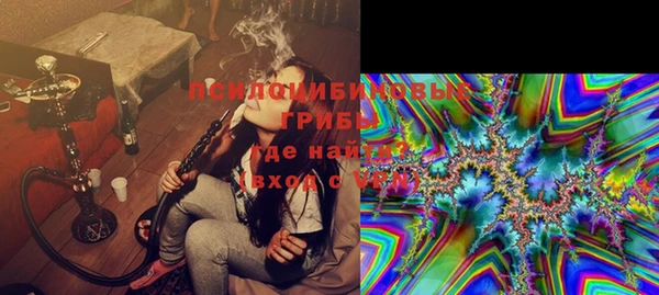 гашик Балахна