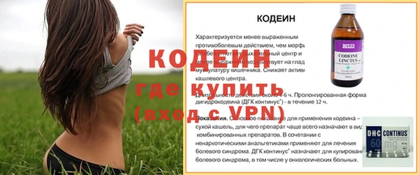 гашик Балахна