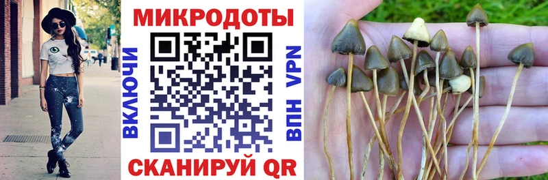 Псилоцибиновые грибы MAGIC MUSHROOMS  Купить закладки  Наро-Фоминск 